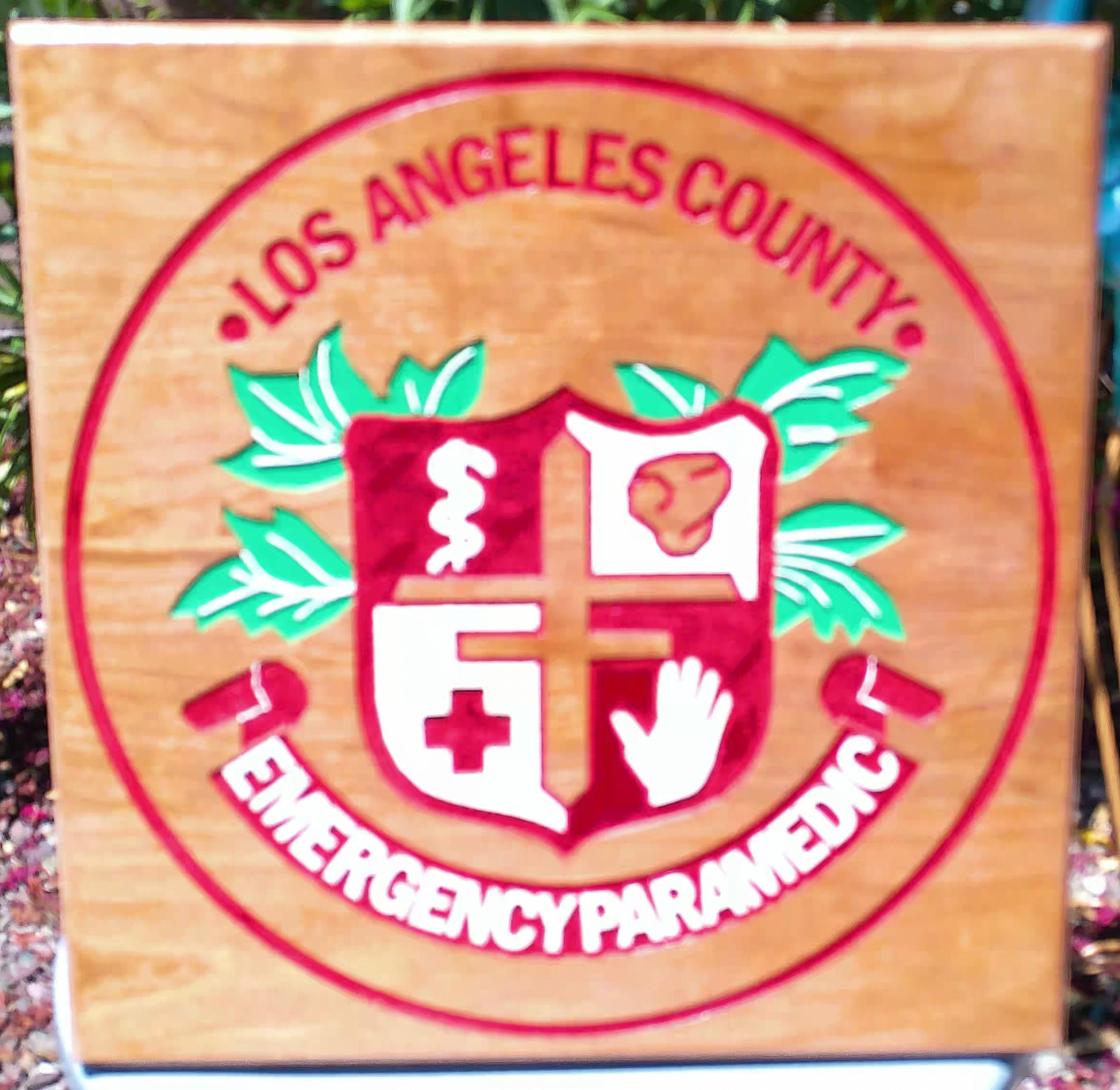 Los Angeles County Emergency Paramedic emblem on a wooden background